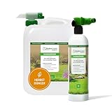 BodenLiebe RASENBLITZ Herbstdünger – gesunder, robuster Rasen bis ins Frühjahr, 5 L für 250–500 m² inkl. Sprühflasche, flüssig & direkt am Gartenschlauch anwendbar