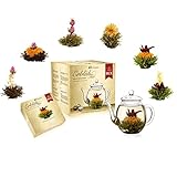 Creano Teeblumen Mix - goldenes Geschenkset Erblühtee mit Glas Teekanne weißer, grüner & schwarzer Tee in 6 Sorten Geschenk für Frauen 7 teilig