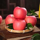 äpfel säulenobst winterhart apfel balkon pflanzensamen bio garten gartenpflanzen winterhart winterharte für garten, kübelpflanzen 220samen