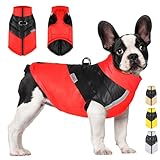 YOUYIKE Hundemantel für Hunde, Hundekleidung, Hundemantel Wasserdicht Hundejacke Winter Warme Jacke für Kleine Mittelgroße Hunde Hundebekleidung Warm Haustier Kleidung für Kaltes Wetter (Rot, L)