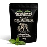 GreenValence Wilder Pfefferminztee geschnitten - Premium Wildsammlung aus Portugal - Handgeerntet & natürlich sonnengetrocknet - Reines Naturprodukt ohne Zusätze - Aromatischer Kräutertee (100 g)