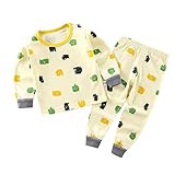 Kinder Baumwolle Schlafanzüge Dinosaurier Pyjamas Set Basisscht Anzug Baby Mädchen Jungen Schlafanzugoberteile Schlafanzughosen Schlafanzug Langarm Zweiteiliger Loungewear (X, 18-24 Months)