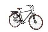 F.lli Schiano E-Moon, E Bike Trekking 28 Zoll, 36V 13Ah Abnehmbarer Akku, Motor 250W 40Nm, Trekking EBike für Herren, Grau