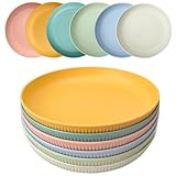 HQCM 6 Stück Wiederverwendbar Plastikteller, 23cm Groß Campingteller Unzerbrechlich Picknick Geschirr Plate Set, Mehrweg Mikrowelle Spülmaschinenfest Tief Bunte Grillteller für Outdoor Home