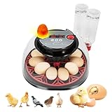 Brutautomat Vollautomatisch 12 Eier, Vollautomatischer Inkubator mit Temperaturkontrolle und Feuchtigkeitsdisplay, Brutkasten mit automatischer Eierwendefunktion für Hühner, Enten und Wachteln