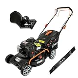 DELTAFOX Benzin Mäher - Briggs & Stratton - 46 cm Schnittkreis - 50 ltr Fangkorb mit Hardtop - Mulchfunktion - Seitenauswurf - Reinigungsanschluss - inklusive 2. Messer