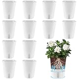APACALI 12 Stück Blumentopf mit Bewässerungssystem, 12.5CM Selbstwässernder Blumentopf, Selbstbewässerung Topf mit Wasserstandsanzeiger, Kräutertopf Küche für Indoor für Innen und Balkon