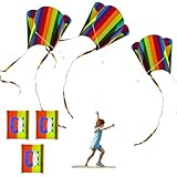 SAIIURV 3 Stück Drachen Kinder, Einfach zu Fliegen Drachen für Anfänger Kinder und Erwachsene, Regenbogen Kinderdrachen für mit Langen Schwänzen, Einleiner Drachen Flugspielzeug Outdoor Beach (Bunt)