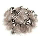 Fesnova 50 Stück Federn Perlhuhn, 4-8cm Federn Basteln, DIY Grau Bastelfedern, für Bastelarbeiten, Traumfänger, Kopfschmuck, Schmuckdekoration, Hochzeit Dekoration
