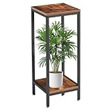 IBUYKE 2 Etagen Pflanzenregal Blumenständer, 76cm Hoch Holz Pflanzenständer, Modern Quadratische Blumentopfständer Pflanzentreppe für Innen Garten Balkon Wohnzimmer Deko, Rustikal Braun TMJ071H