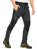 DAFENP Herren Wanderhose Skihose Wasserdicht Softshellhose Winddicht Winter Outdoorhose Snowboardhose Warm Gefüttert Trekkinghose MSKZ1662M-DarkGrey5-M