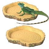 jushion LandschildkröTen ZubehöR,2 Stücke Reptilien Wasserschale, Futterschale,Terrarium Trinkschale für Hamster,Geckos, Vogelspinnen, Bartagamen, Schildkröten, Landschildkröten