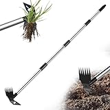 LAWFYMORI Unkrautstecher, Unkrautentferner Länge 150cm, Unkrautjäter mit Langem Stiel, 2-in-1 Unkrautrechen und Gartenhacke, Gartenwerkzeug Effizientes Entfernen von Unkraut Gartengeräte