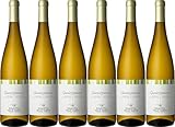 Kellerei Eisacktal Gewürztraminer Alto Adige DOC 2024 Trocken (6 x 0.75 l)