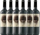 Goru Jumilla DO Ego Bodegas VINELLO Weinpaket (6 x 0,75l) inkl. VINELLO.weinausgießer