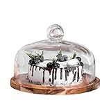 IUokLU Käseplattenabdeckungen Kuchenmacher drehbares Desserttablett aus Holz und Glasdeckel Restaurant-Donut-Kuppel Upgrade-Kuchenbox 8/10/11-Zoll-Kuchenständer,Braun - 28,2 x 28,2 x 20,8 cm