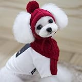 Mütze Kleine Hund Wintermütze mit Ohrlöchern Hundemütze Schal Set Welpe Strickmütze Winter Herbst Hundehut mit Pompon Haustiermütze Warm Hundekostüm Verstellbar Haustiermütze Weihnachten Geschenk