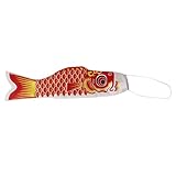 Windsack Größe 70 cm Windsack für Draußen Karpfen Flag Segelfisch Fischwind Streamer Windrichtungsanzeiger Rot