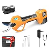 SWANSOFT PRU28 Akku Astschere, 28mm 16,8V 2+2Ah Gartenschere Leistungsstarke Elektrische Elektrogartenscheren Für Präzisen, Rosenschnitt und Weinreben,[Leicht Sicher, Einstiegsmodell Für Profis]