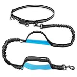 Uppetly Hundeleine mit verstellbarem Hüftgurt, elastische Bungees mit zwei Griffen, einziehbares Seil für kleine und mittelgroße Hunde, reflektierende Nähte für Spaziergänge, Wandern, Radfahren (Größe
