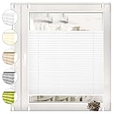 Sonello Plissee Klemmfix ohne Bohren 85cm x 100cm Weiß Faltrollo Plisseerollo Jalousie für Tür & Fenster Blickdicht Sichtschutz Sonnenschutz Fertifplissee Rollo