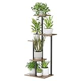 LOOBOV Blumenständer Pflanzenständer Schwarz Metall 5 Etagen Stabiler Pflanzenregal Platzsparendes Holz Blumenhocker Indoor Outdoor für Wohnzimmer, Balkon, Terrasse, Büro Eckregal Deko