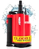 HECHT Tauchpumpe 750 W – 13 000 l/h Schmutzwasser & Klarwasser Automatik-Schwimmerschalter – Bis 9 m Förderhöhe - Wasserpumpe für Keller, Pool, Regentonne & Garten – zum Aus- & Abpumpen