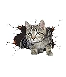 3D Katze Aufkleber, Autoaufkleber, Niedliche Katze Dekorationen Benutzerdefinierte Auto Stoßstange Aufkleber Kratzer Thema Wand Aufkleber Stil 3