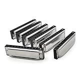 10 Löcher Mundharmonika Blues 7 Teiliges Diatonisches Instrumentenset