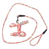 TOGEVAL Verstellbares Katzen Geschirr und Leine Ausbruchsicher Weiches Brustgeschirr mit Verstellbarem Gurt für Kleine und Große Katzen für Spaziergänge und Outdoor aktivitäten Rote