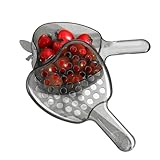 Abtropfgestell, Obstwaschschüssel, Lebensmittelsieb mit Griff und Deckel - Frischhaltedose, Wasserschöpfkelle, kleines Küchensieb für Beeren, Salate