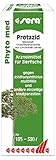 sera Phyto med Protazid 30 ml - pflanzliches Arzneimittel gegen Ichthyophthirius multifiliis und andere einzellige Hautparasiten