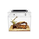 Reptile Growth Mini PC Terrarium, 8' x 8'x 7'Faunarium für,Schnecken,Insekten,Vogelspinnen,Springspinne,Leopard Gecko，Einsiedlerkrebs