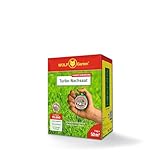 WOLF-Garten Turbo-Nachsaat zur Rasensanierung LR50 (für 50 m2, hohe Dichte mit ca. 70.000 Trieben/m2, für alle Rasentypen geeignet, mit WOLF-Garten Keimgarantie, im 1kg Karton) 3826031