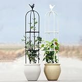 Garden Obelisk, Trellis for Climbing Plants Outdoor, small Trellis for Potted Plants, Tomato Cage White, Black Obelisk Indoor high 25.6/33.5/45.3/57/65/68.9/80.7in(Schwarz,D 9.8X H 57in)
