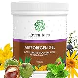 Green idea - Artroregen Gel | Extra Stark und Hochkonzentriert | Schmerzgel stark mit Arnika, Beinwell, Rosskastanien | Muskeln und Gelenke | Menthol Gel | Muskelentspannung - 250 ml