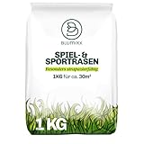 1 kg Rasensamen Sport & Spiel schnellkeimend 30 m², robust, sattgrün, ideal für Neuansaat und Nachsaat, Rasensaat Grassamen Frühjahr bis Herbst (1 kg)
