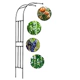 Rosenbogen Rankgitter aus Metall, wetterfeste Stützstruktur für Kletterpflanzen, Reben & Blumen, langlebige Outdoor-Gartendekoration