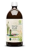 Multikraft Teich Klar - Hochwirksames biologisches Teichklärungsmittel für kristallklare Teiche & Gewässer - unterstützt das ökologische Gleichgewicht - Reduziert Algenwachstum, 1 Liter