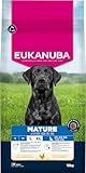 Eukanuba Hundefutter Trocken mit frischem Huhn für große Rassen, Premium Trockenfutter für reife Hunde, 15 kg