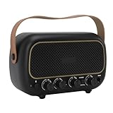 Dioche Mini-Gitarrenverstärker, Tragbarer E-Gitarrenverstärker mit Zwei Lautsprechern, Klarer Klang Zum Üben, zu Hause, Im Freien, ABS-Material