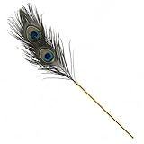 Federkitzler FüR Sexspiele Klitoris Stimulator ，Roluck Bondage Fessel Feder Peitsche Bett Fesseln FüR Sex Paare Extrem