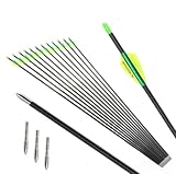 PHILOCS 12 Stück Jagd Carbon-Pfeile ID 4,2 mm Spine 300 400 500 600 700 800 900 1000 Übungspfeil für Bogenschießen Recurve-Bögen Compound-Bogen (29inch,Spine 1000)