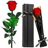 Touloube Geschenke für Frauen Weihnachten Ewige Infinity Rosen, Rot Rose Blumen Geschenke für Frauen, für Mama Freundin Ehefrau Freundinnen, Eternal Rose Geburtstagsgeschenk Jahrestag Geschenk Frau