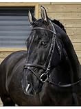 Riding World Trensenzaum schwarz Cob bzw VB