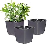 T4U 13cm Blumentopf Plastik Schwarz mit bewässerungssyste mit Anzeiger Eckig Pflanztopf dunkelgrau 3er-Set, Selbstwässernde wasserspeicher für blumentöpfe，übertöpfe für Zimmerpflanzen