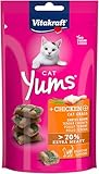 Vitakraft Cat Yums, Katzensnack, mit Huhn und Katzengras, mit sichtbarer Füllung, im wiederverschließbaren Beutel, ohne Zusatz von Zucker und Getreide (1x 40g)