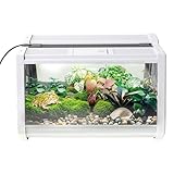 Bärtiger Drachentank, Reptilienkäfige, Playpen -Lüftungs -Fütterungsaquarium, Optimale Sichtbarkeit, Kompakter Lebensraum, 27x19x19cm Für Spinnen, Tier, Schlange
