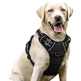 rabbitgoo Hundegeschirr Mittelgroße Hunde, Anti Zug Geschirr mit Kontrolle, No Pull Verstellbar Hundegeschirr Grosse Hunde, Atmungsaktiv Reflexstreifen Brustgeschirr Sichere Führung Schwarz L