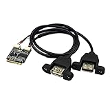 Konvertiert eine drahtlose WiFi Key A Karte in eine doppelte USB 2.0 Erweiterungskarte, geeignet für Desktop mit Port